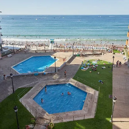 Aterian Muskaria Zarautz