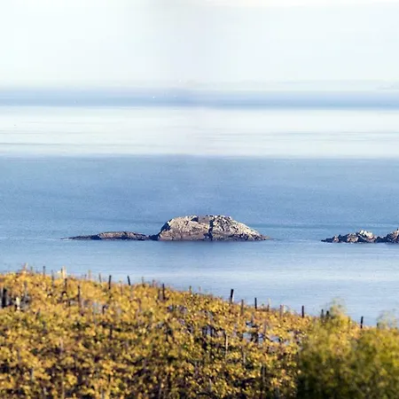 Aterian Muskaria Διαμέρισμα *