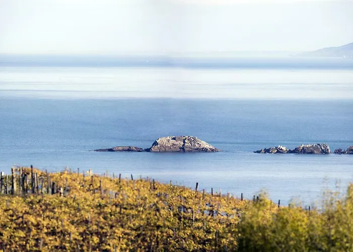 Aterian Muskaria Apartment *